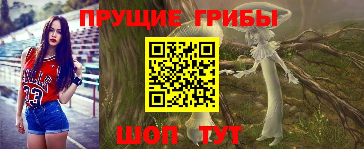 Ставрополь  Псилоцибиновые грибы Psilocybe  Псилоцибиновые грибы Magic Shrooms  Вход с VPN 