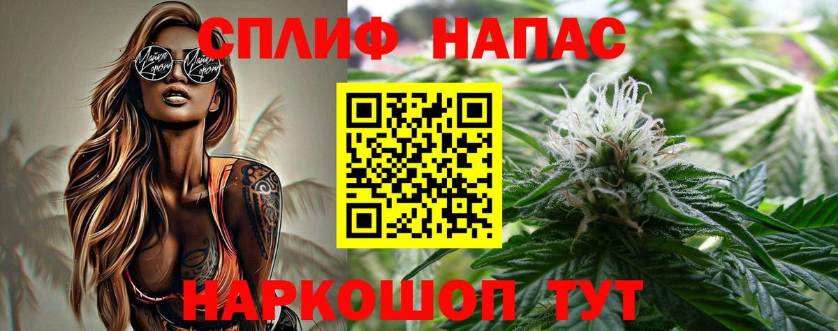 Марихуана семена  Бошки Шишки тримм  Вход с VPN  Каннабис гибрид  Ставрополь  Конопля тримм 